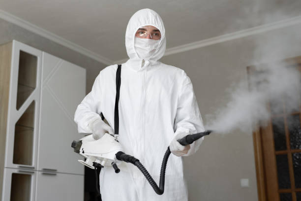 Why You Should Choose Our Mold Remediation Services in Middleport, NY