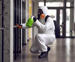 Mold Remediation for Rental Properties in Middleport, NY